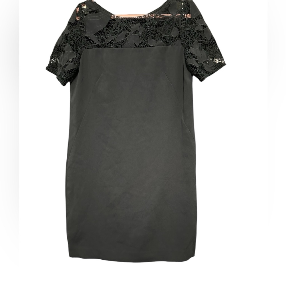 Ann Taylor  Dress Size 6P